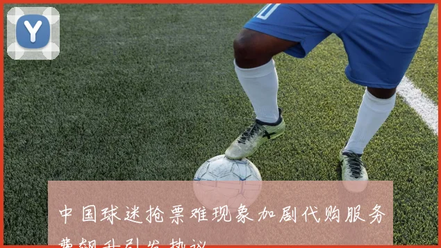 中国球迷抢票难现象加剧代购服务费飙升引发热议