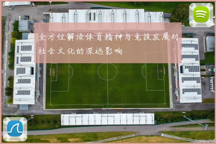 全方位解读体育精神与竞技发展对社会文化的深远影响